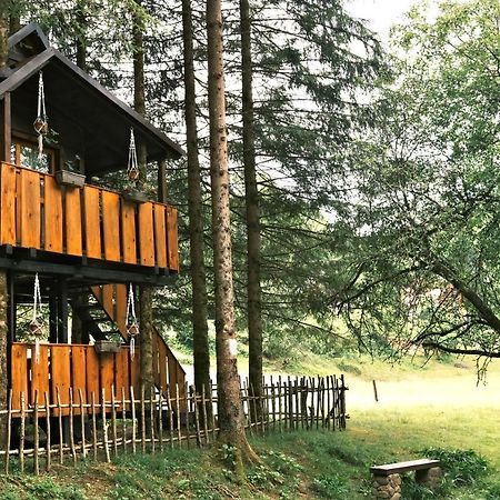 Treehouse Kupari Nacionalni Park Risnjak Cabar 외부 사진