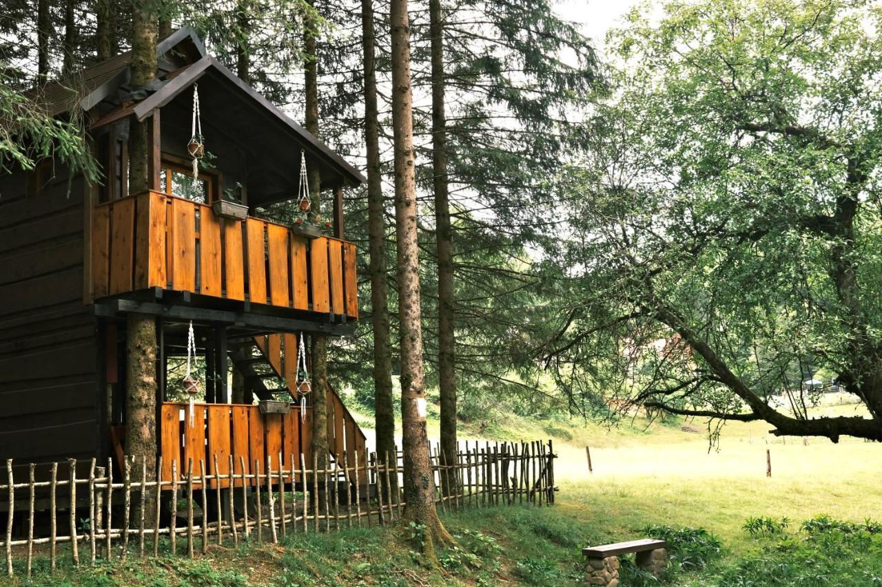 Treehouse Kupari Nacionalni Park Risnjak Cabar 외부 사진