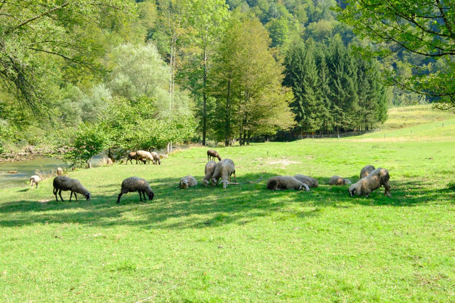 Treehouse Kupari Nacionalni Park Risnjak Cabar 외부 사진
